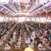 All the lamps are lit